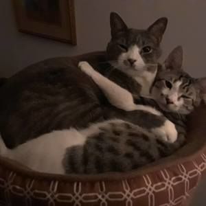 Meet your Posher, Sally